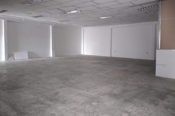 BODEGA..jpg